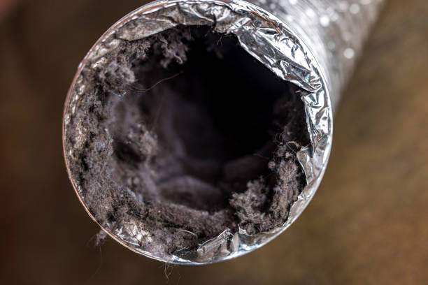 Best Ductwork Cleaning Services  in Gasport, NY